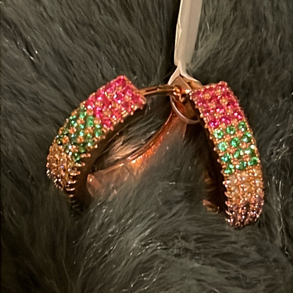 Small Hoop earrings
